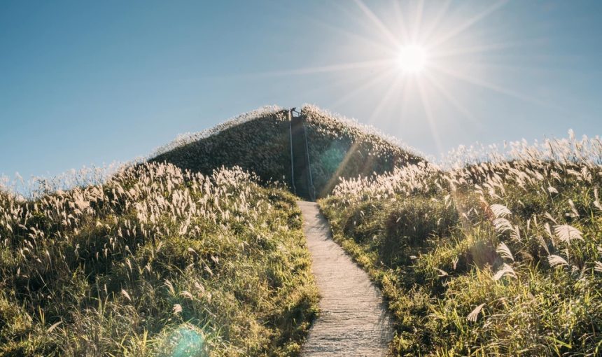 Binh Lieu Reed Flower Season Tour