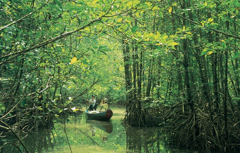 CAN GIO MANGROVE FOREST (FULL DAY)